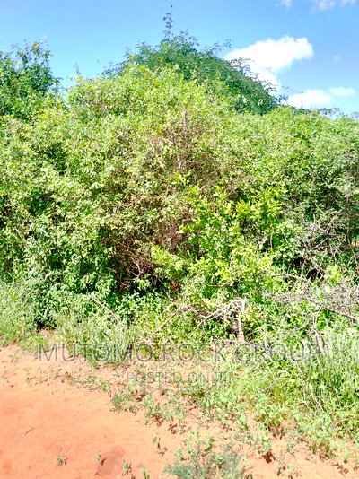 31acres for Sale - Image 2