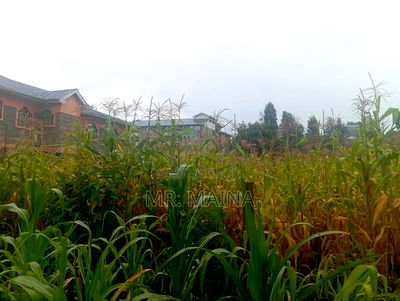 Prime Vacant 0.75 Acre's in Ruaka, Gacharage Area - Image 2