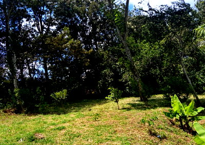 Quarter Acre Plot with Garden in Kararapon