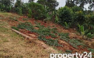 KSh 650M Runda Gem