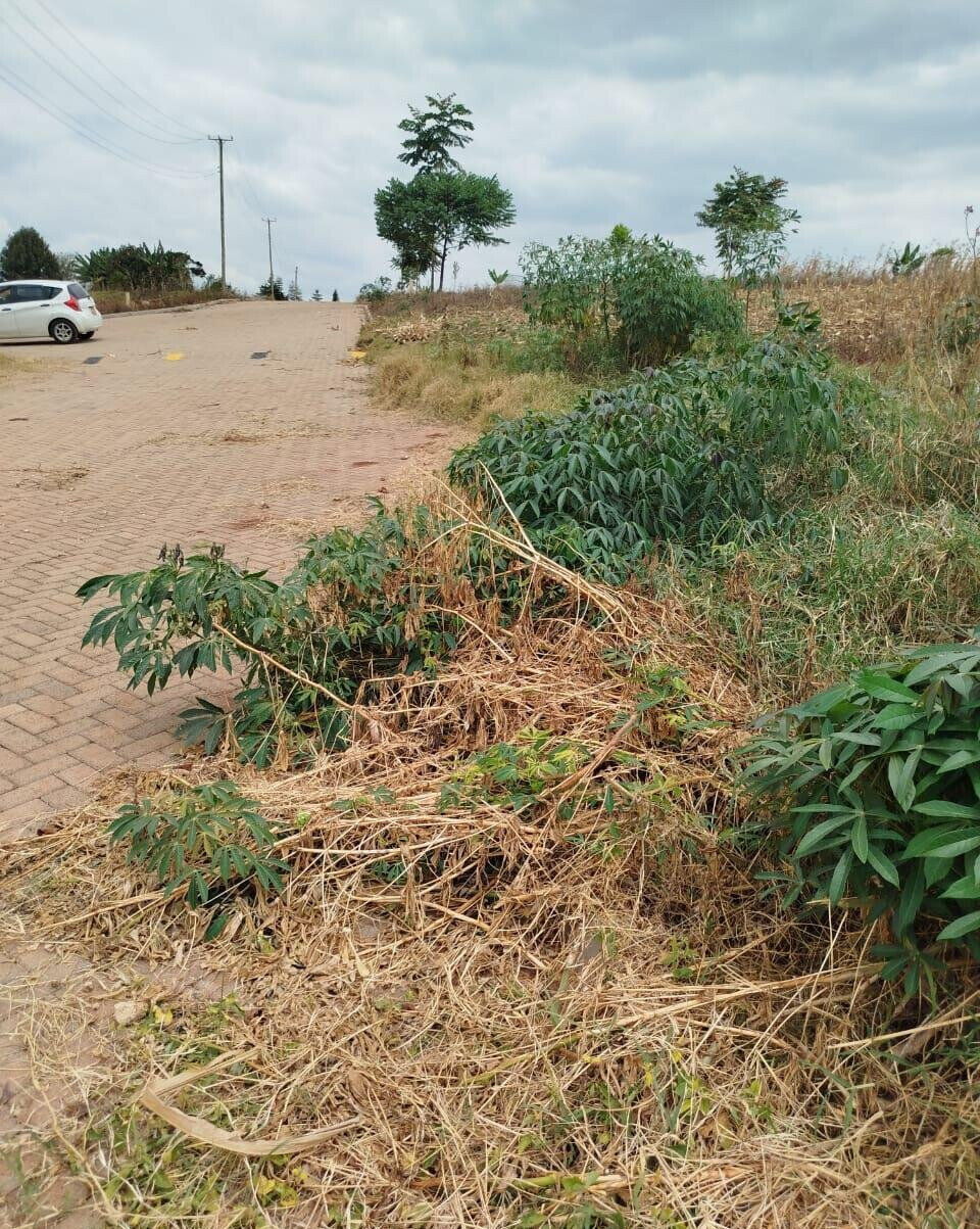 KSh 650M Runda Gem