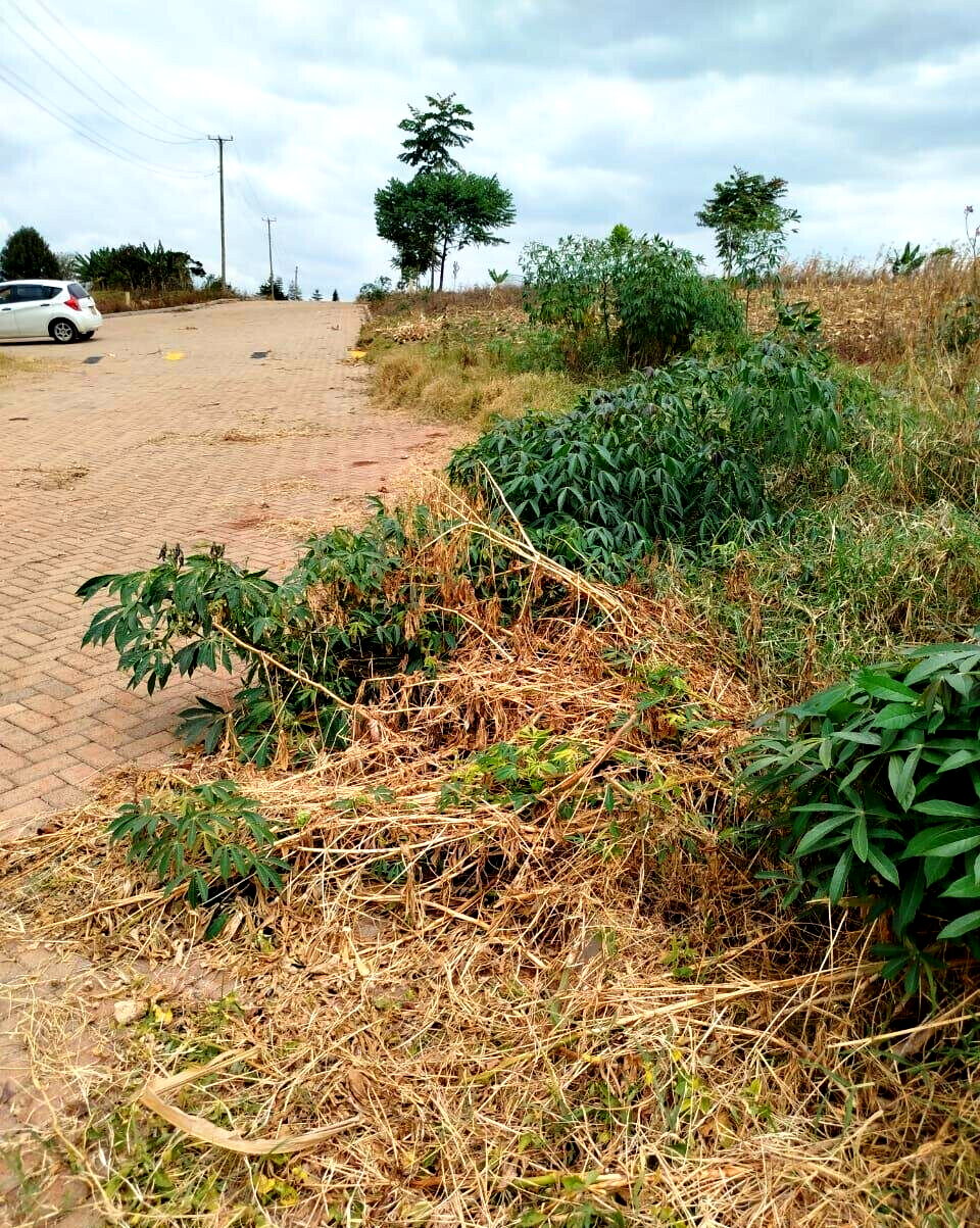KSh 650M Runda Gem