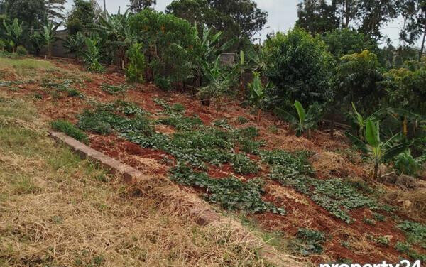 KSh 650M Runda Gem