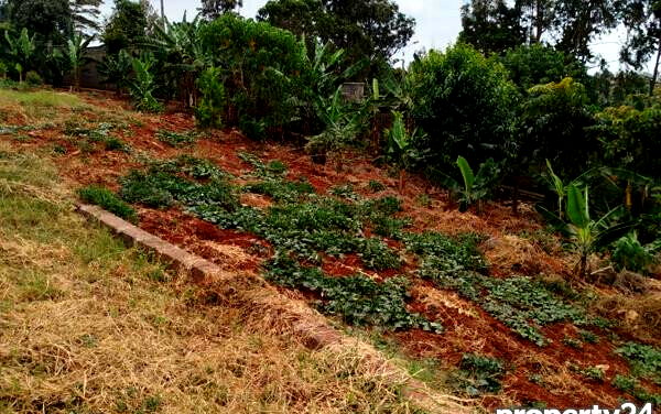 KSh 650M Runda Gem