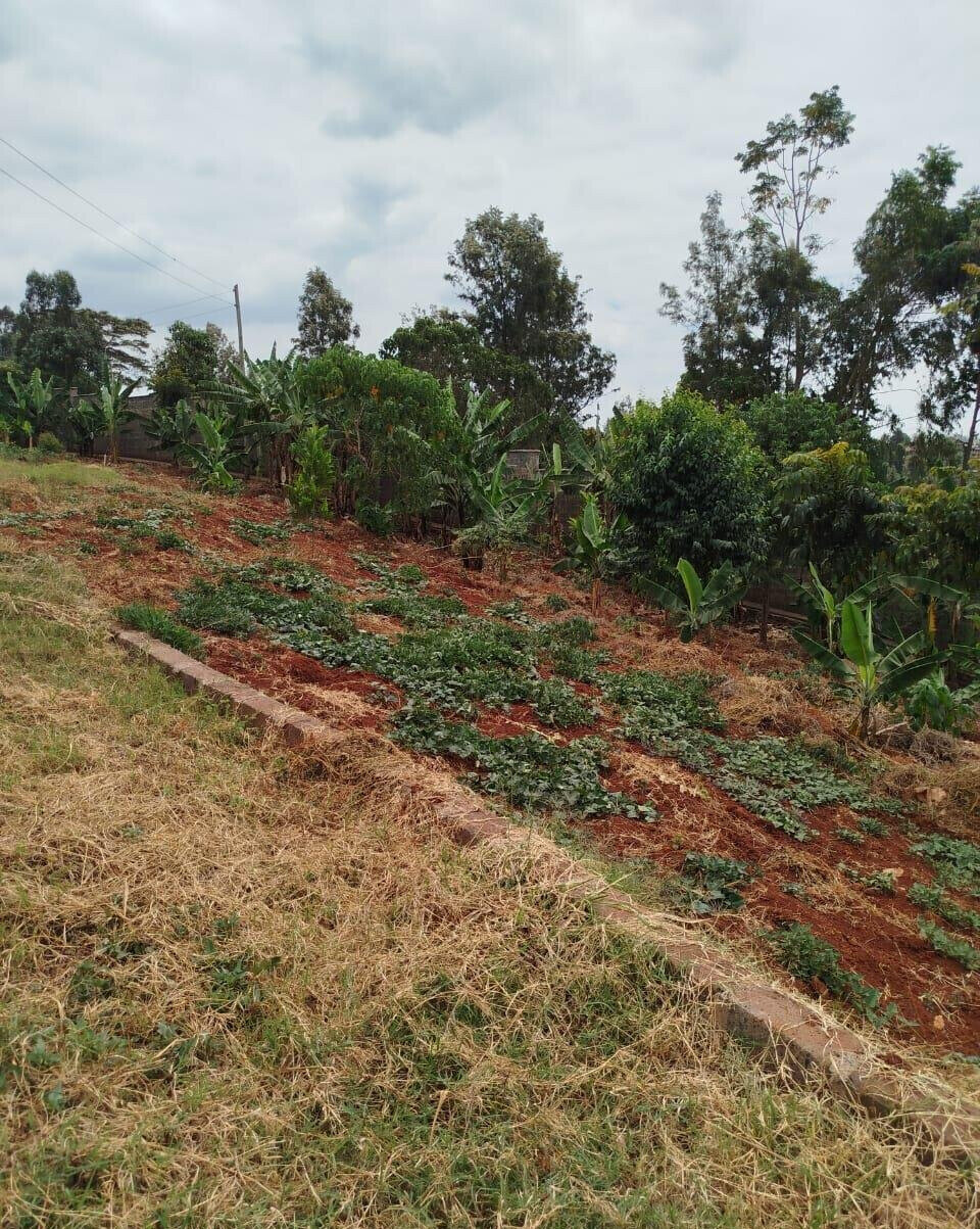 KSh 650M Runda Gem