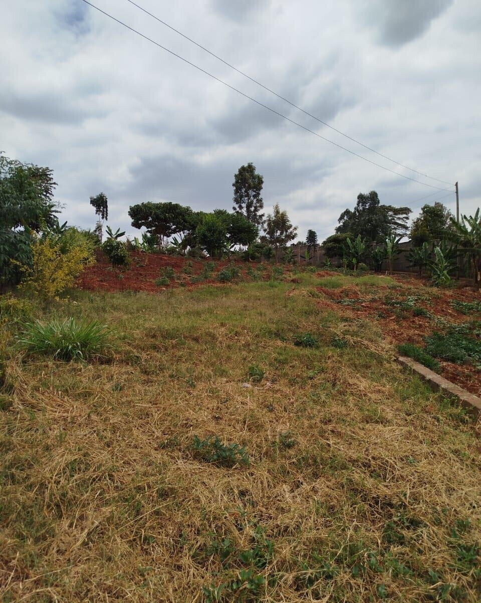 KSh 650M Runda Gem