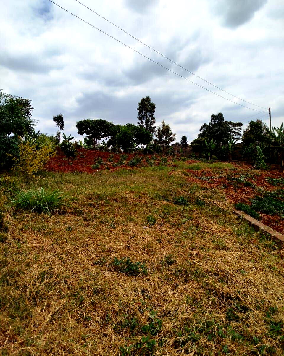 KSh 650M Runda Gem