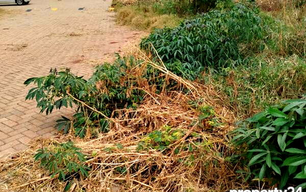 KSh 650M Runda Gem