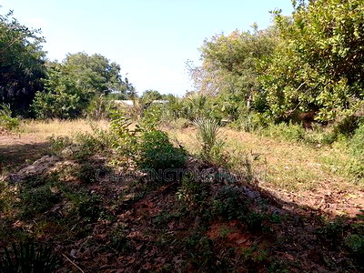 For Sale: Half Acre Corner Plot Along Mvindeni Road. - Image 13