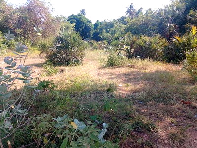 For Sale: Half Acre Corner Plot Along Mvindeni Road. - Image 9