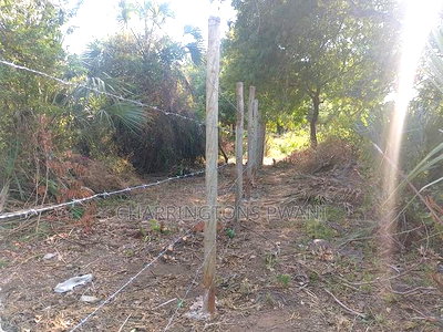 For Sale: Half Acre Corner Plot Along Mvindeni Road. - Image 2