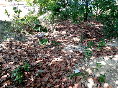 For Sale: Half Acre Corner Plot Along Mvindeni Road. - Image 1