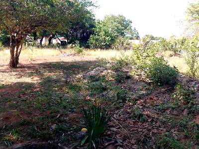 For Sale: Half Acre Corner Plot Along Mvindeni Road. - Image 4