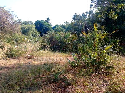 For Sale: Half Acre Corner Plot Along Mvindeni Road. - Image 14