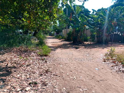For Sale: Half Acre Corner Plot Along Mvindeni Road. - Image 15