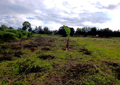 50x100 Plot with Garden in Langata
