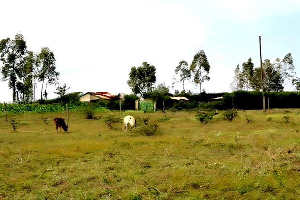 Joska Ndovoini Plots
