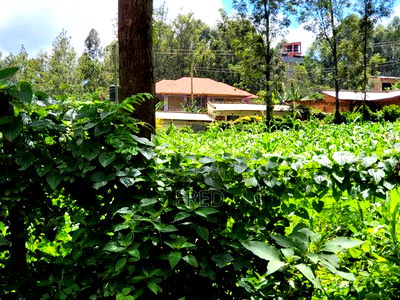Commercial Space for Sale on Kisii - Image 2