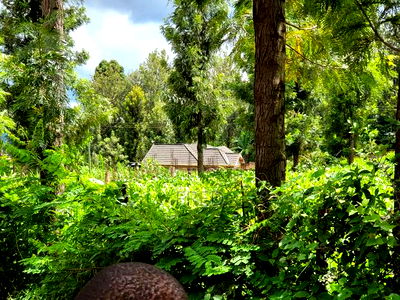 Commercial Space for Sale on Kisii - Image 1