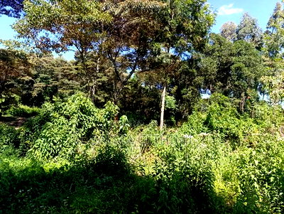 Prime Residential Plot for Sale in Kikuyu, Ondiri - Image 4