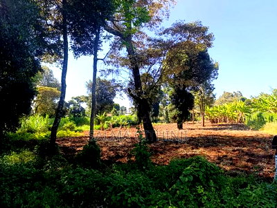 Prime Residential Plot for Sale in Kikuyu, Ondiri - Image 3