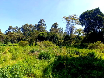 Prime Residential Plot for Sale in Kikuyu, Ondiri - Image 2