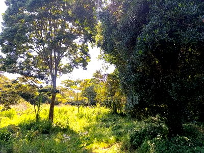 Prime Residential Plot for Sale in Kikuyu, Ondiri - Image 1