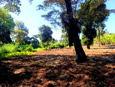 Prime Residential Plot for Sale in Kikuyu, Ondiri - Image 6