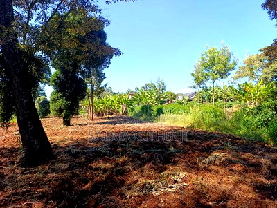 Prime Residential Plot for Sale in Kikuyu, Ondiri - Image 5