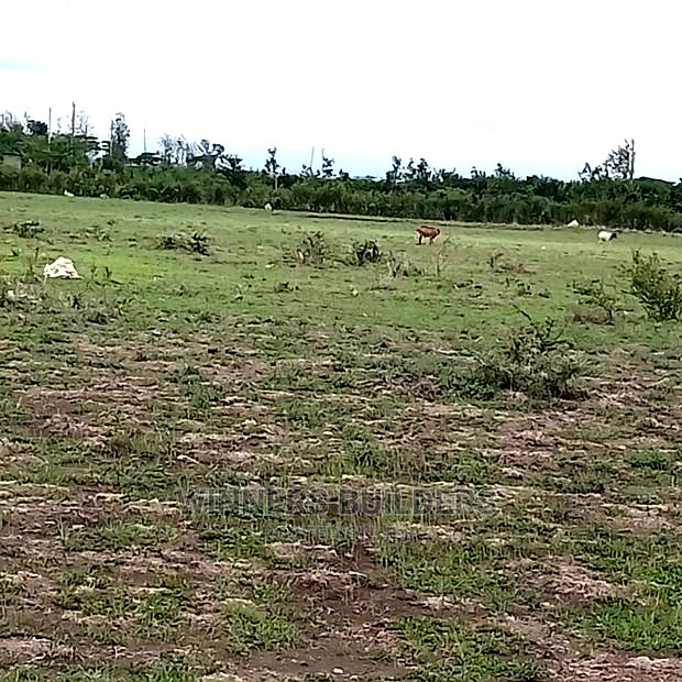 45 by 95 Plot for Sale at Juja Farm Athi