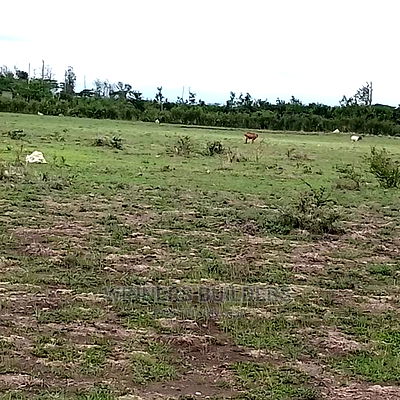 45 by 95 Plot for Sale at Juja Farm Athi - Image 3