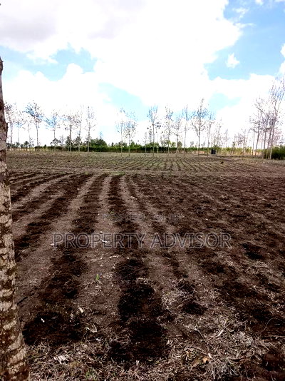 Mugunda for Sale in Kitengela. All Kikuyus Are Relocating. - Image 1