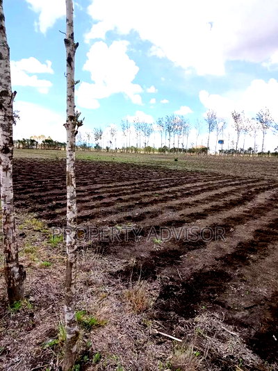 Mugunda for Sale in Kitengela. All Kikuyus Are Relocating. - Image 2