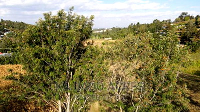 10 Acres Kaurai,Ngong at 15m Per Acre - Image 10