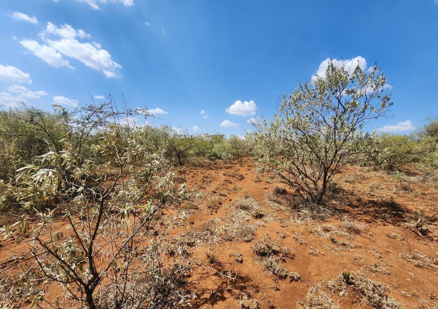 1/8 Acre in Kimuka Ngong