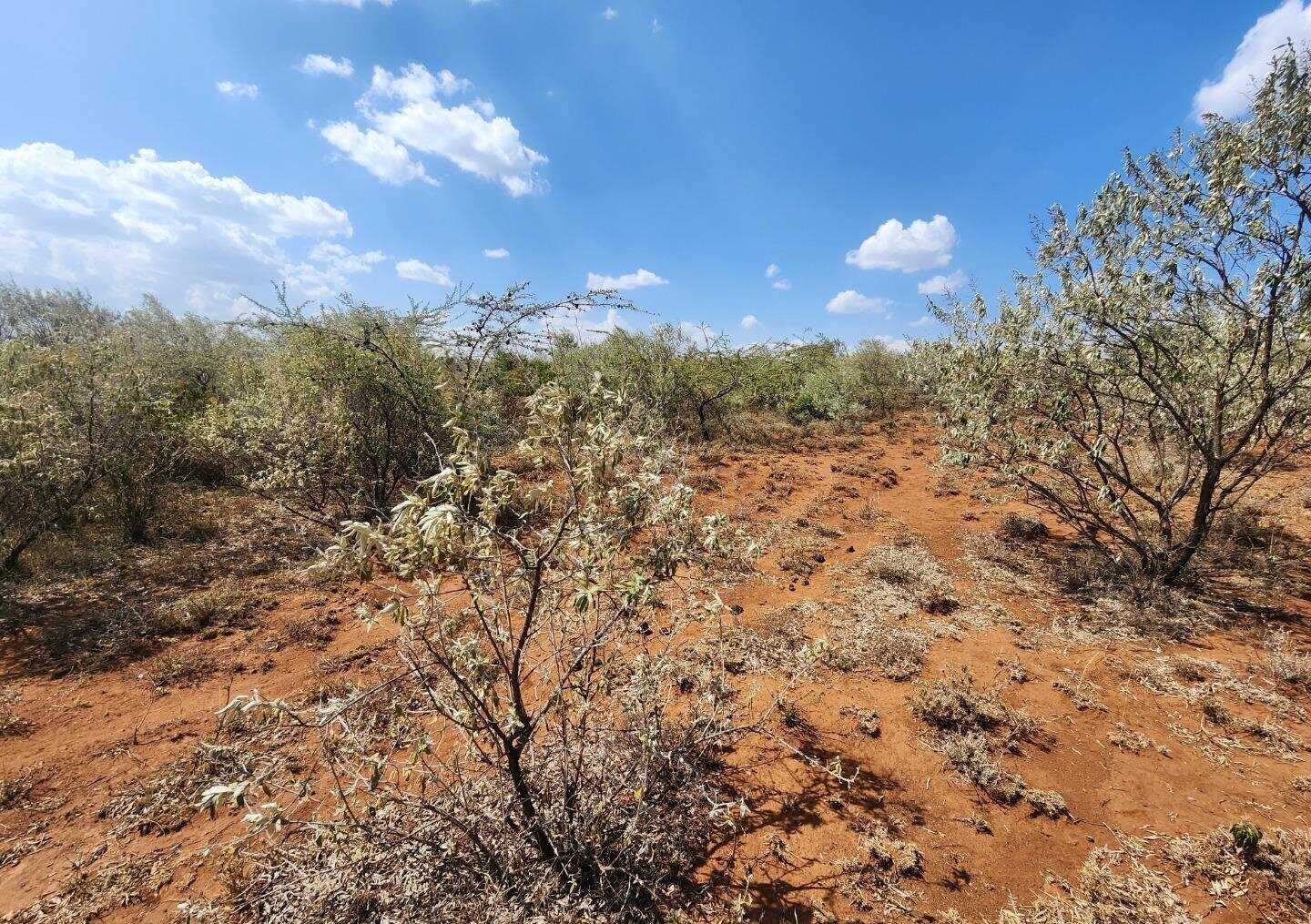 1/8 Acre in Kimuka Ngong