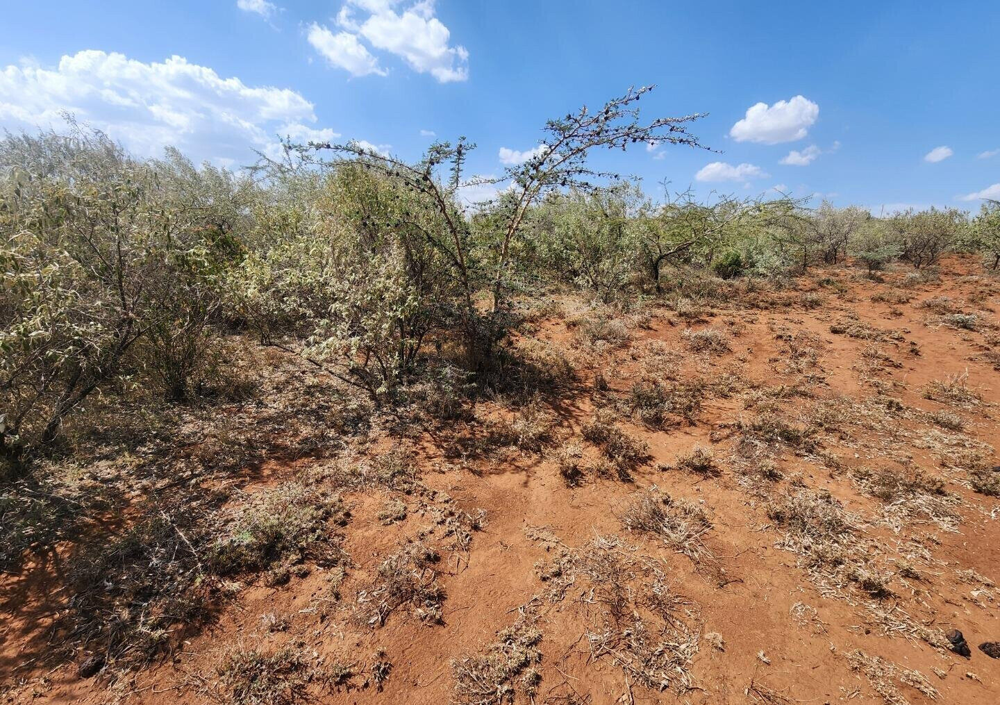 1/8 Acre in Kimuka Ngong