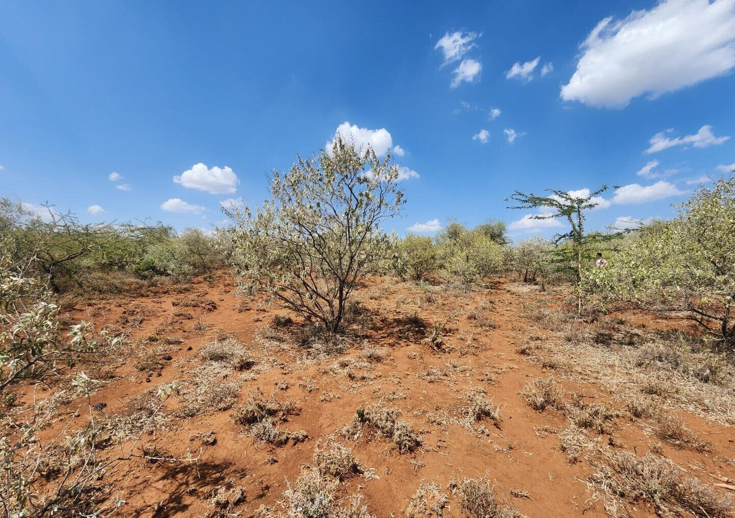 1/8 Acre in Kimuka Ngong