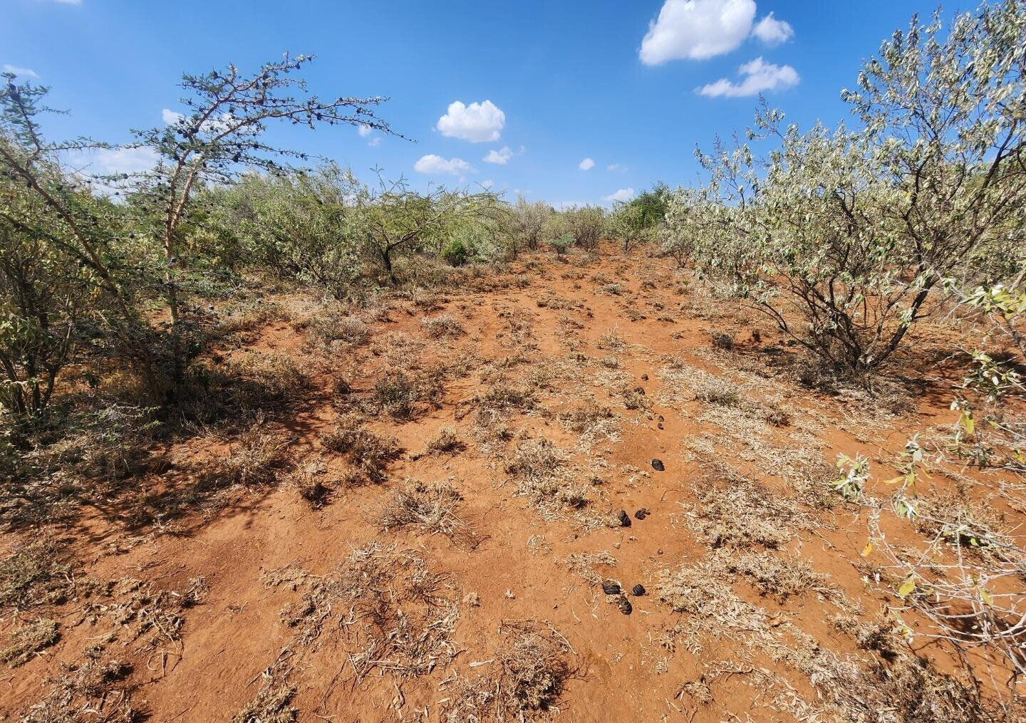 1/8 Acre in Kimuka Ngong