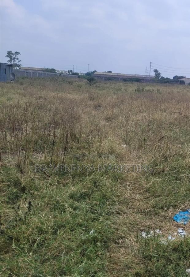 2. 5 Acre Plot for Lease at Cabanas Area