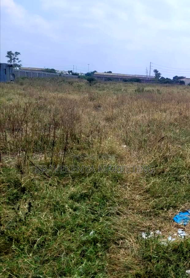 2. 5 Acre Plot for Lease at Cabanas Area