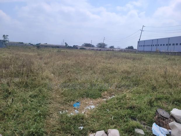 2. 5 Acre Plot for Lease at Cabanas Area