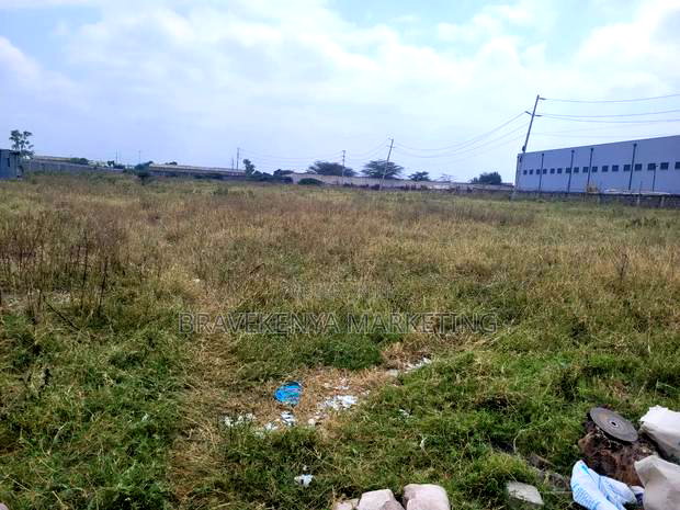 2. 5 Acre Plot for Lease at Cabanas Area