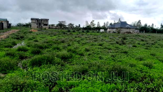 Scenic View Plots for Sale