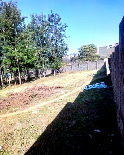 KSh 45M Kahawa Plot