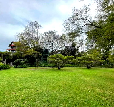 20-Acre Commercial Property with Garden