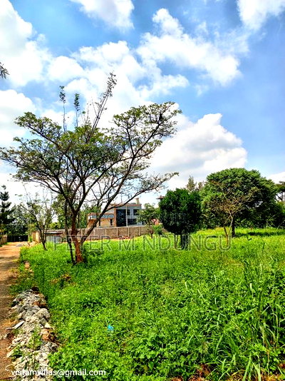 Golden Palm Gardens Prime Residential Quarter Plot - Image 4