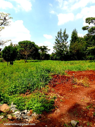 Golden Palm Gardens Prime Residential Quarter Plot - Image 7