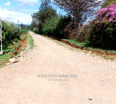 Very Prime Plots in Kasuku Town - Image 5