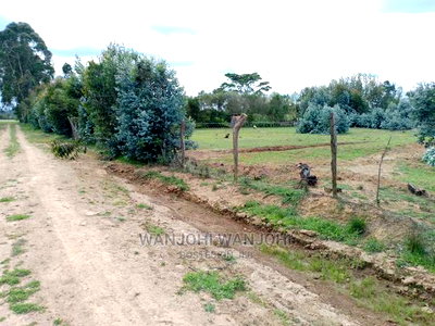 Very Prime Plots in Kasuku Town - Image 2